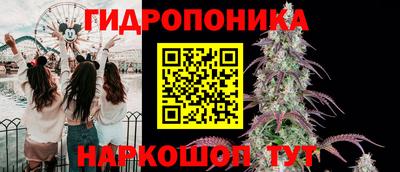 МДПВ Краснознаменск