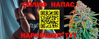 МДПВ Краснознаменск