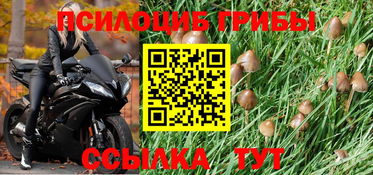 Псилоцибиновые грибы мухоморы  Псилоцибиновые грибы мухоморы  Котовск  цена   Вход с VPN 